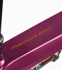 Porsche Design Porsche Ebike Cross Performance Exc Sternrubin Neo Outlet